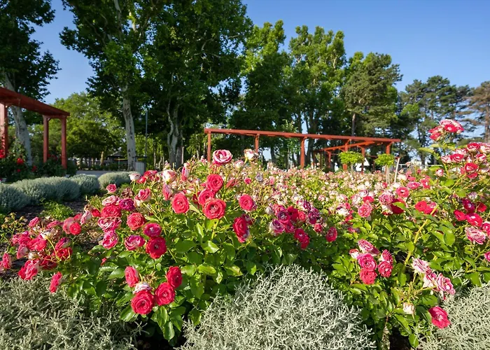 丽珍加特酒店 希欧福克