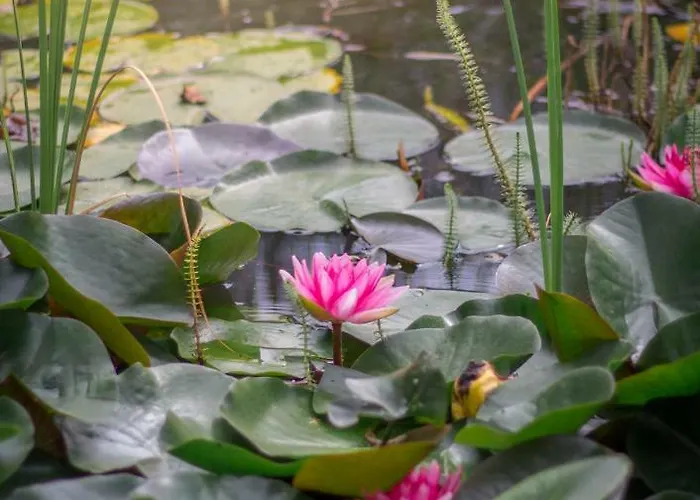 丽珍加特酒店 2*